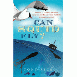 Can Squid Fly? - Image