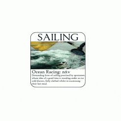 Sailing Coaster - Ocean Racing - Image
