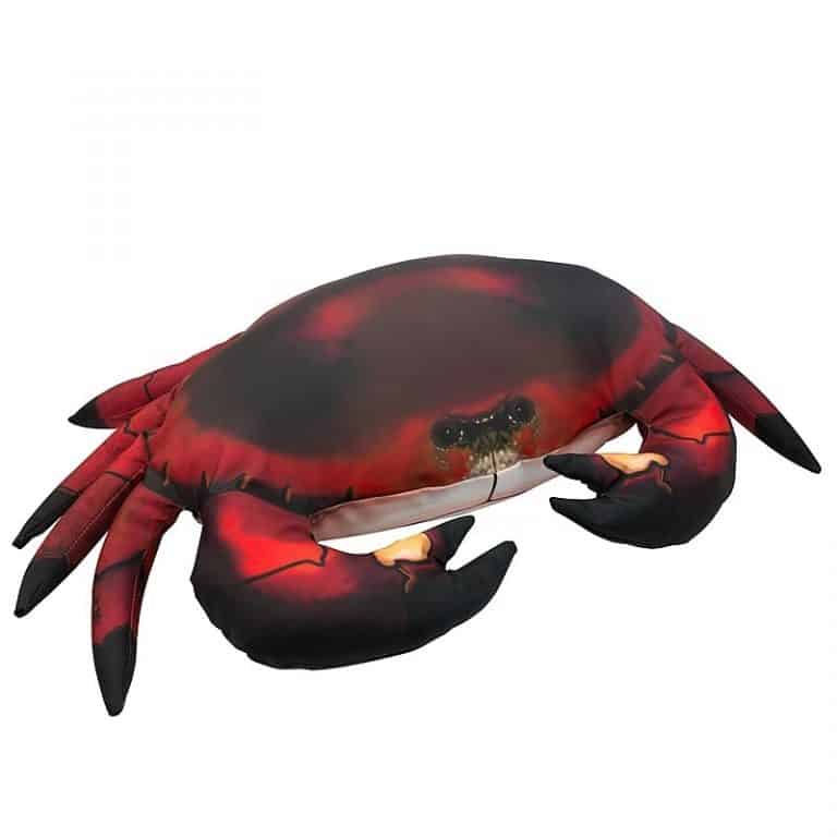 Nauticalia Common Crab Cushion - Image