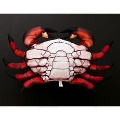 Nauticalia Common Crab Cushion - Image