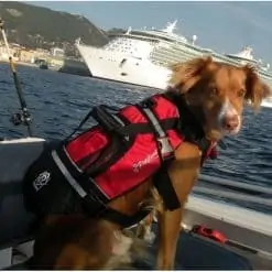 Crewsaver Pet Buoyancy Aid - Image