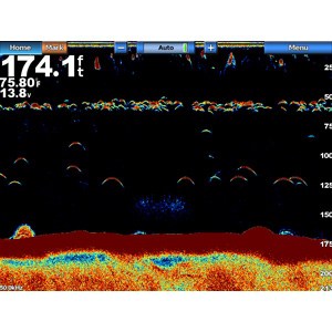 Garmin GSD 24 Digital Sonar - Image