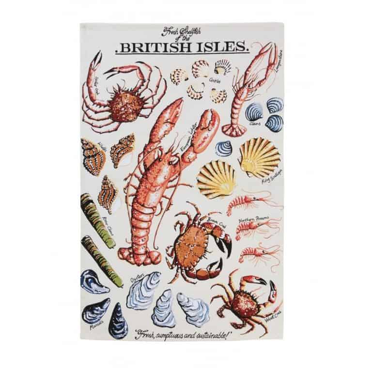Kelly Hall Cards - Shellfish