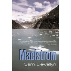 Maelstrom Sam Llewellyn - Image
