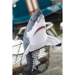Nauticalia Shark Cushion - Image