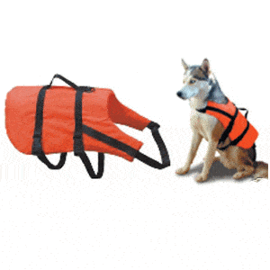 Pet Buoyancy Aid - Image
