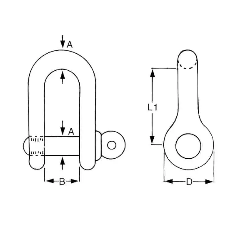 D Shackle Stainless Steel - Image