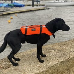 Typhoon Totland Dog Vest - Image