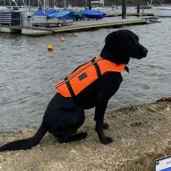 Typhoon Totland Dog Vest - Image