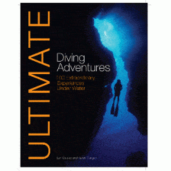 Ultimate Diving Adventure - Image