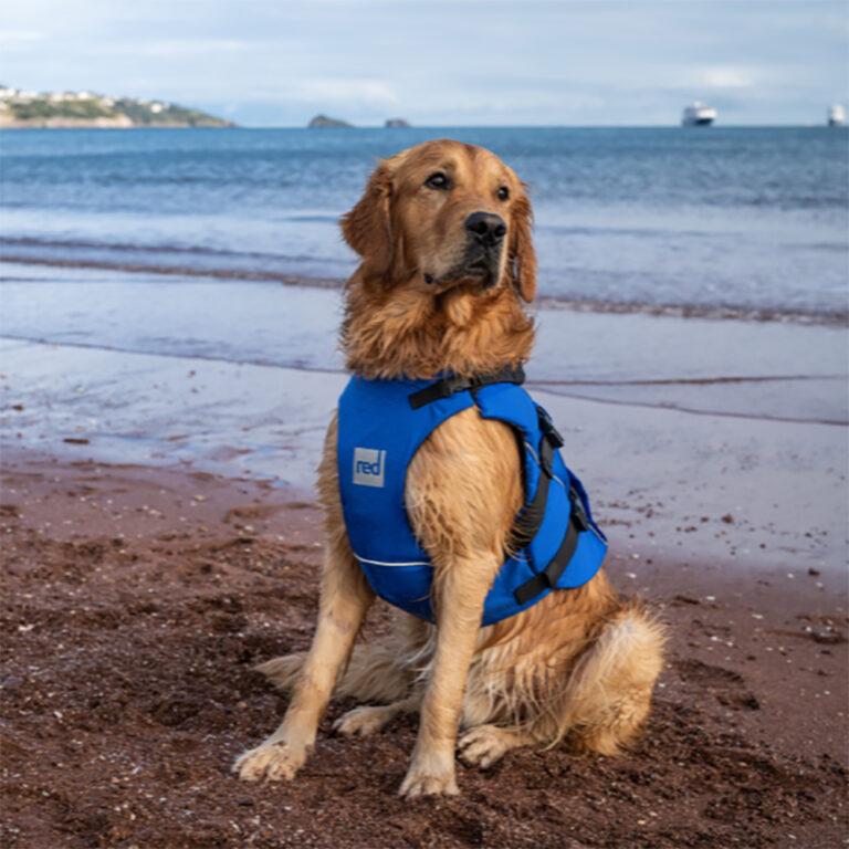 Red Dog Life Jacket - Blue - Size XS - Image