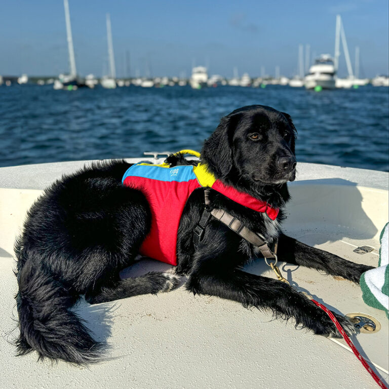 Spinlock FIDO Dog Floatation Aid - Image