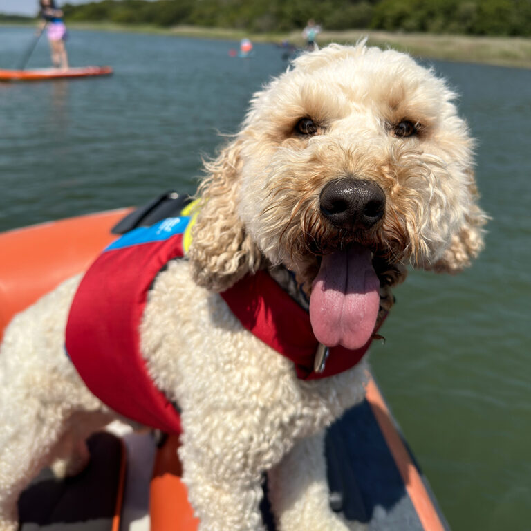 Spinlock FIDO Dog Floatation Aid - Image