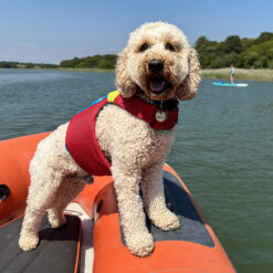 Spinlock FIDO Dog Floatation Aid - Image