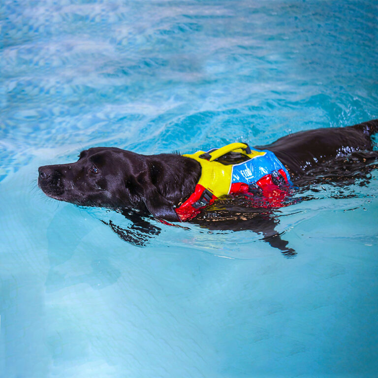 Spinlock FIDO Dog Floatation Aid - Image