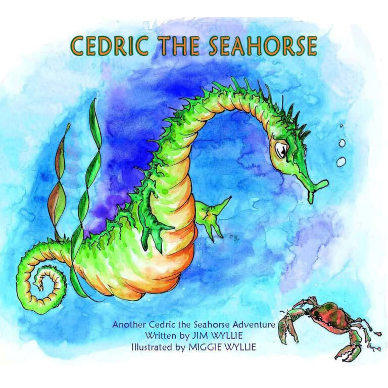 Cedric the Seahorse - Image