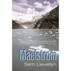 Maelstrom Sam Llewellyn - Image