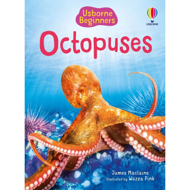 Beinners Octopuses - Image