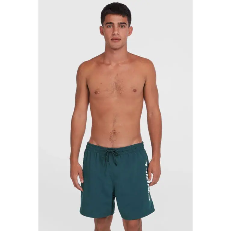 O'Neill Cali 16" Swim Shorts for Men - Alma Steel