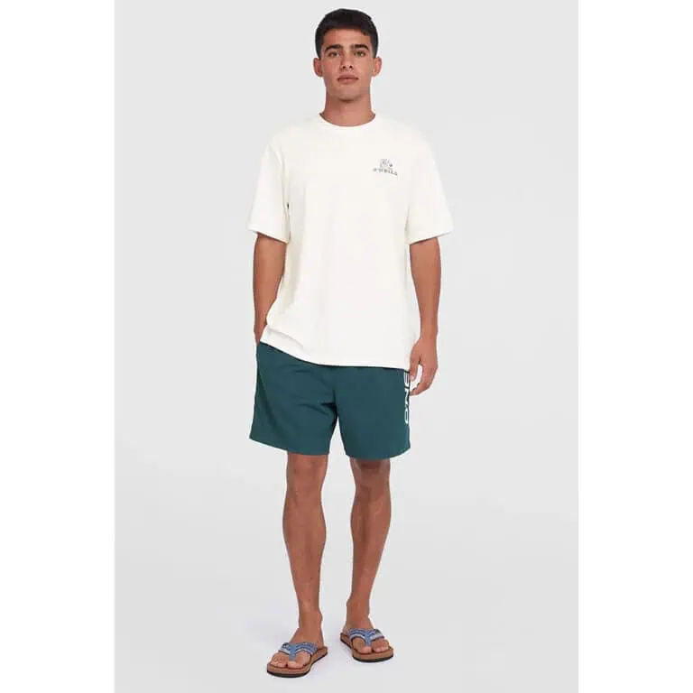 O'Neill Cali 16" Swim Shorts for Men - Alma Steel