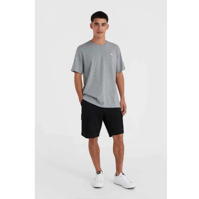 O'Neill Small Logo T-Shirt - Silver Melee