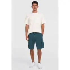 O'Neill Essentials Cargo Shorts - Alma Steel