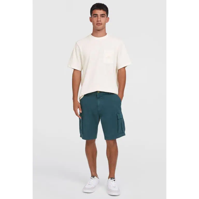O'Neill Essentials Cargo Shorts - Alma Steel