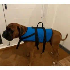 Baltic Pluto Pet Buoyancy Aid - Blue