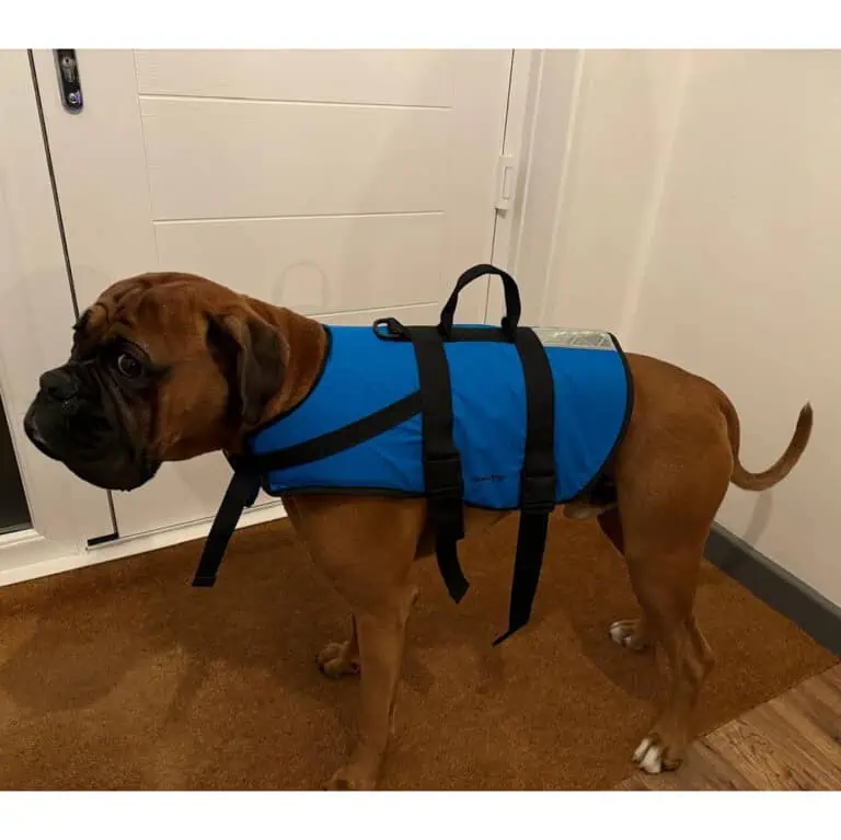 Baltic Pluto Pet Buoyancy Aid - Blue