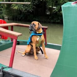 Baltic Pluto Pet Buoyancy Aid - Blue